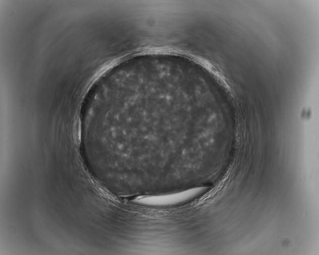 X0000097911221200804111103