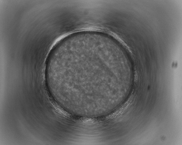 X0000097911222200804111103