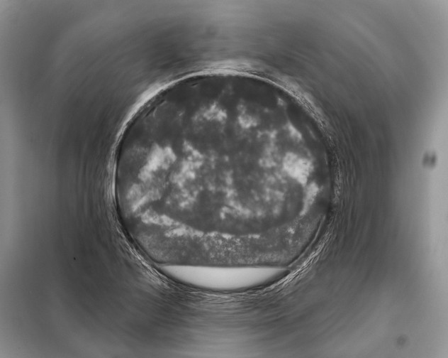 X0000097911224200804111103