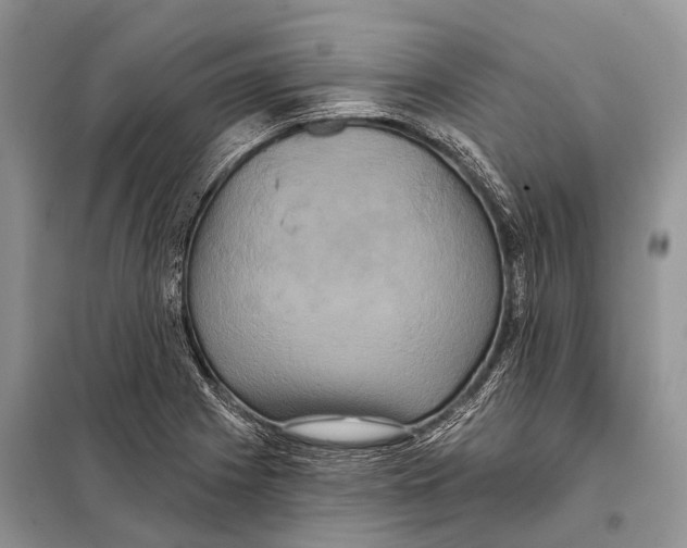 X0000097911225200804111103