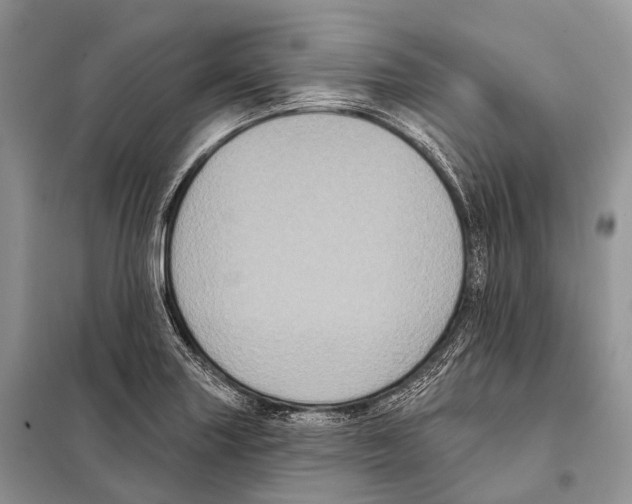 X0000097911227200804111103