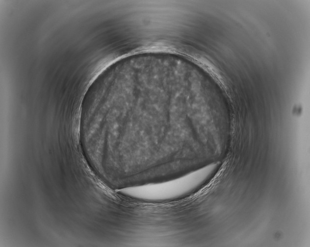 X0000097911228200804111103