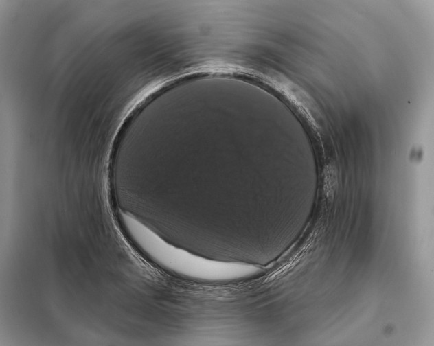 X0000097911229200804111103