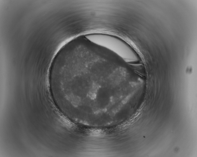 X0000097911230200804111103