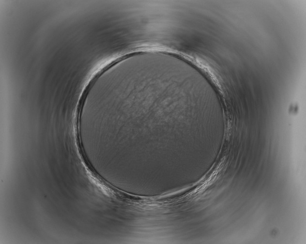 X0000097911231200804111103