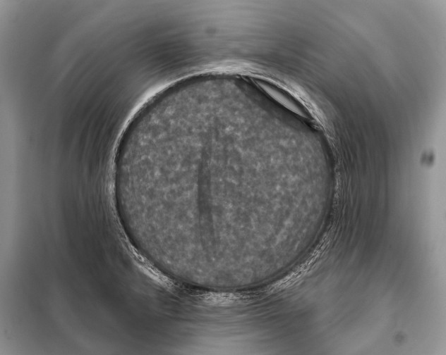 X0000097911232200804111103