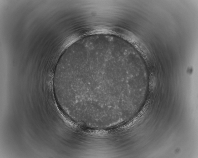 X0000097911233200804111104