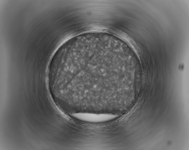 X0000097911235200804111104