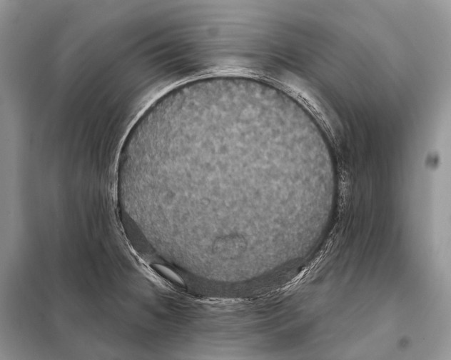 X0000097911236200804111104