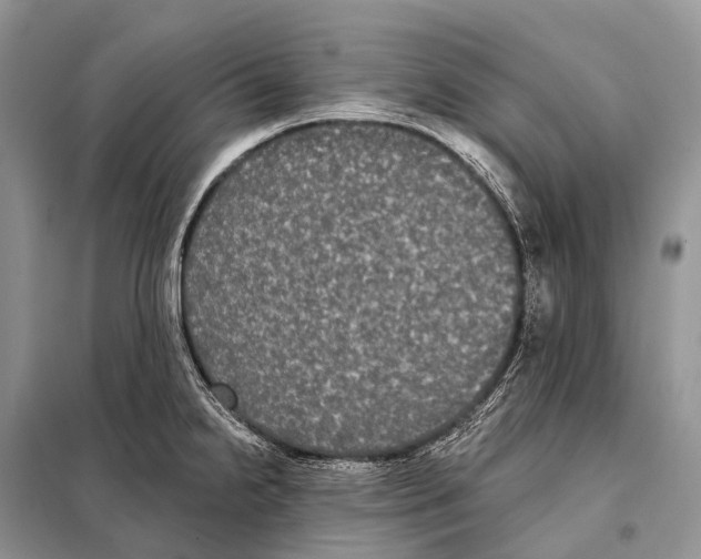 X0000097911238200804111104