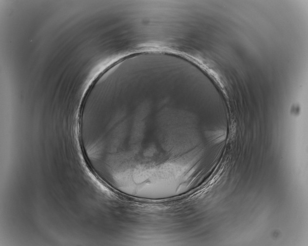 X0000097911239200804111104