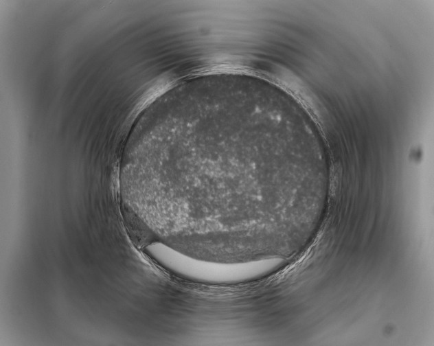 X0000097911241200804111104