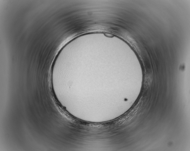 X0000097911242200804111104