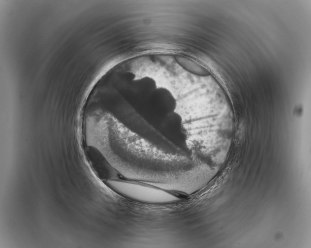 X0000097911243200804111104