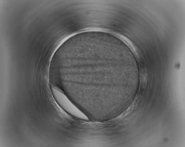 X0000097911244200804111104