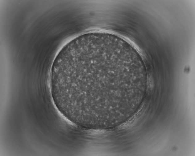 X0000097911247200804111104