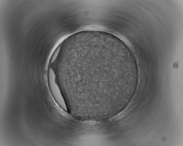 X0000097911248200804111104