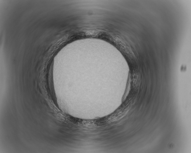 X0000097911249200804111103