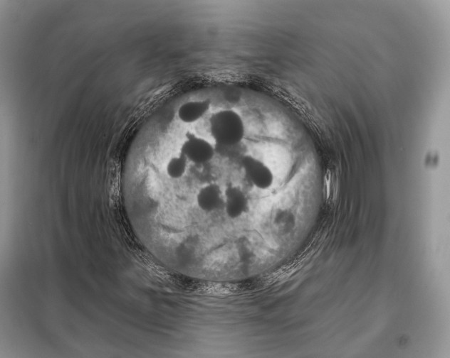 X0000097911251200804111103