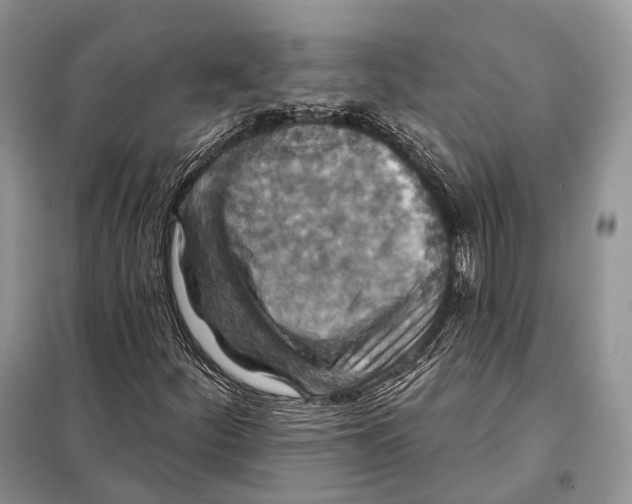 X0000097911252200804111103