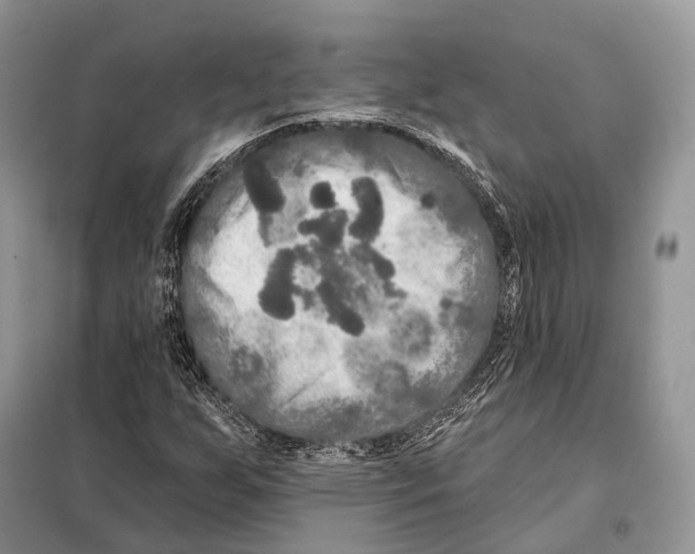 X0000097911255200804111103