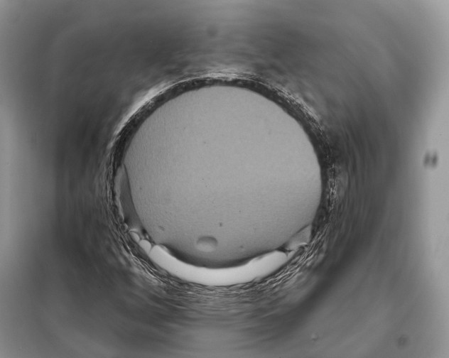 X0000097911256200804111103