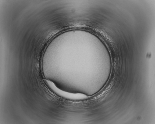 X0000097911257200804111103