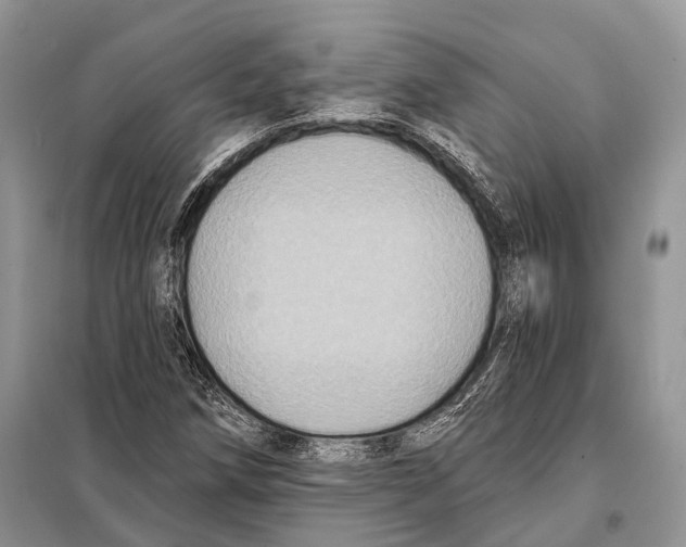 X0000097911258200804111103