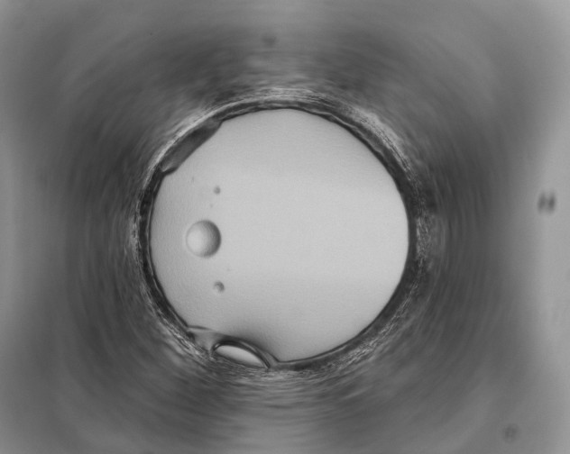 X0000097911260200804111103