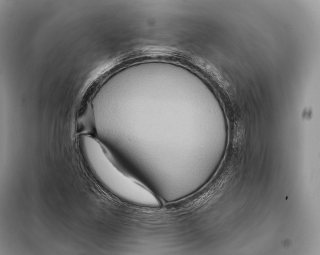 X0000097911261200804111103