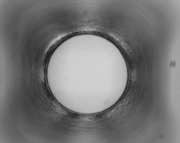 X0000097911262200804111103