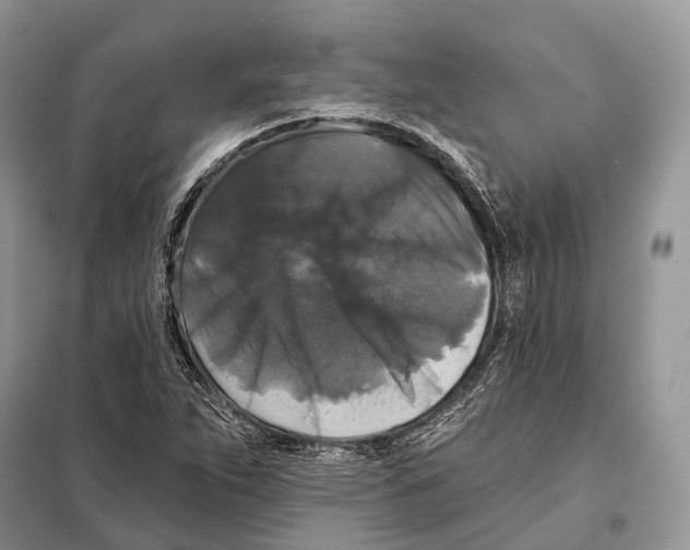 X0000097911263200804111103