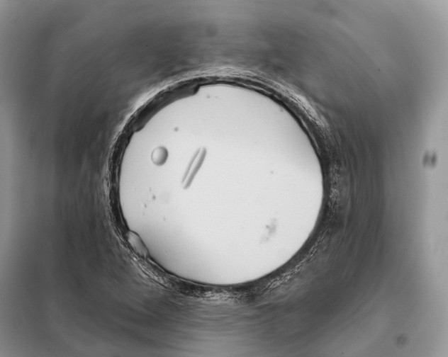 X0000097911264200804111103