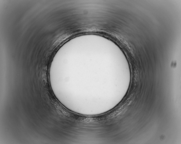 X0000097911265200804111102