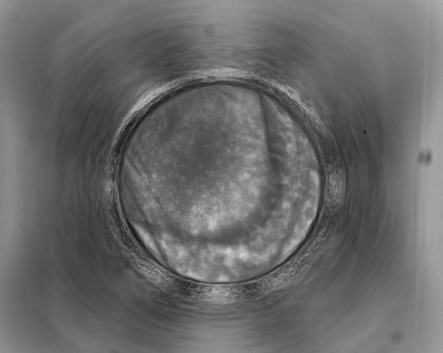 X0000097911266200804111102