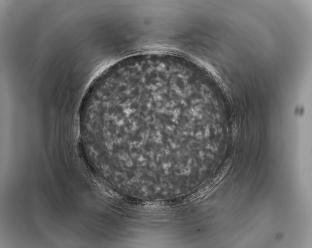 X0000097911267200804111102