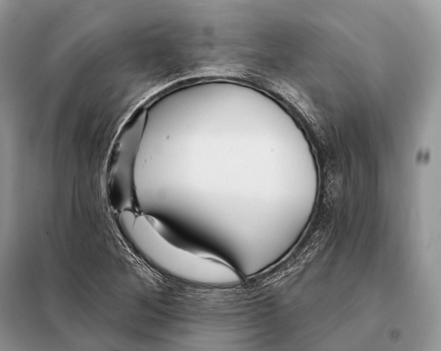 X0000097911268200804111102