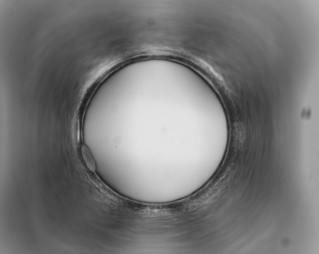 X0000097911269200804111102