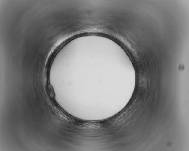 X0000097911270200804111102