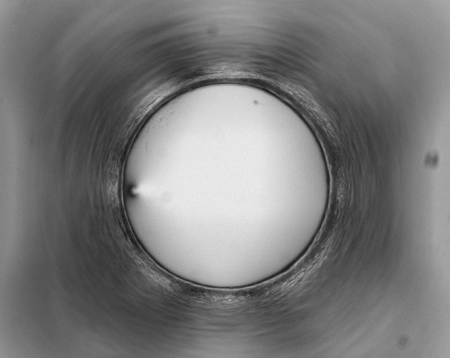 X0000097911273200804111102