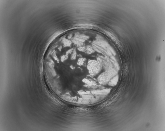 X0000097911275200804111102