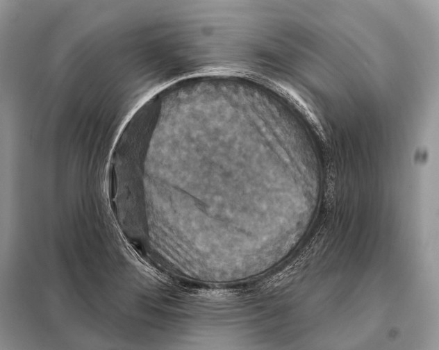 X0000097911276200804111102