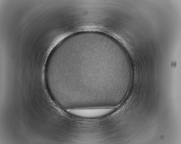 X0000097911277200804111102