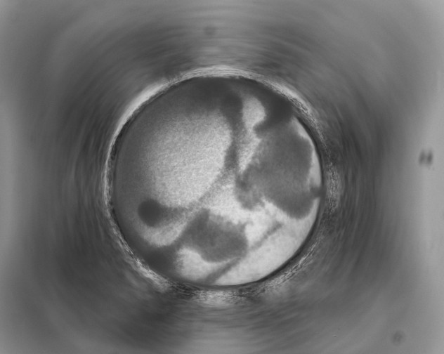 X0000097911278200804111102