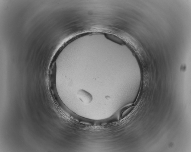 X0000097911280200804111102