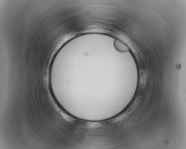 X0000097911282200804111102