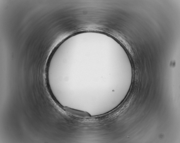 X0000097911285200804111102