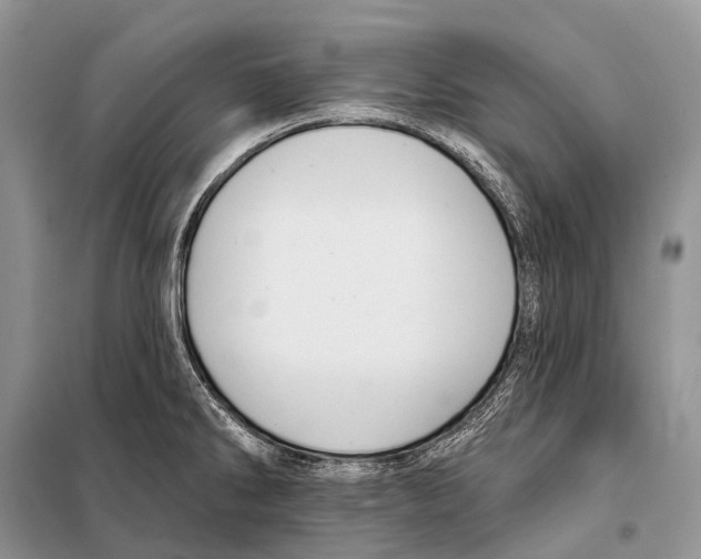 X0000097911286200804111102