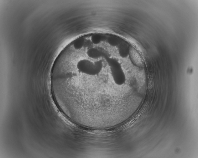 X0000097911287200804111102