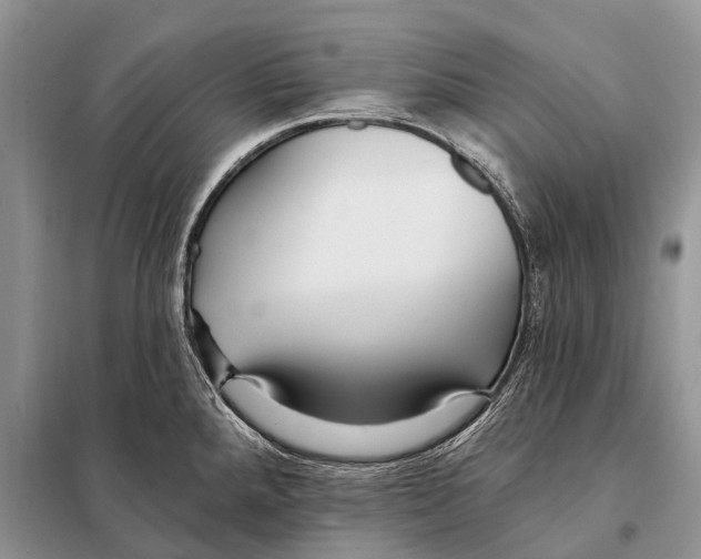 X0000097911288200804111102